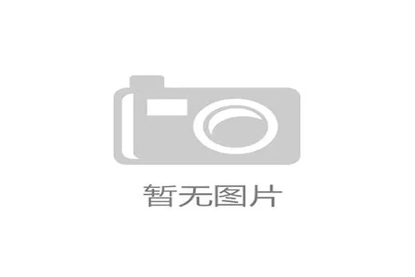 广东巴迪瑞队勇夺体育道德风尚奖展现团结拼搏与精神风貌