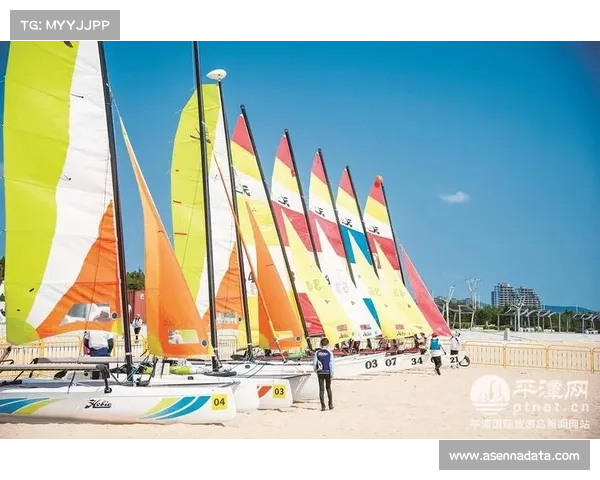 AI流体力学模拟优化帆船装备，提升竞技表现与效率