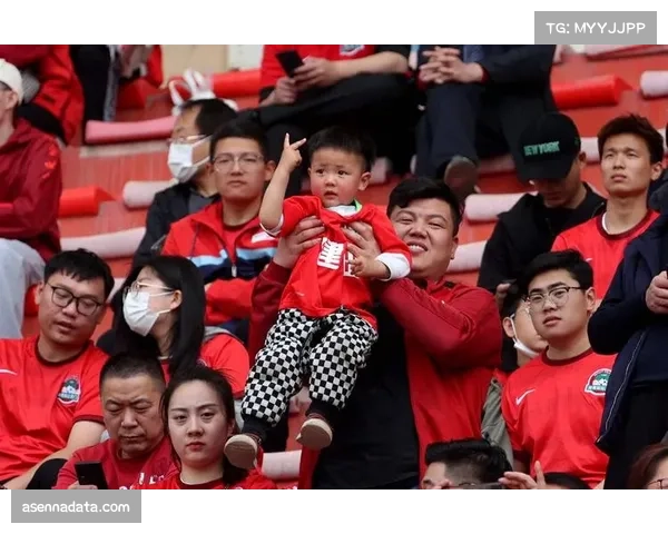 赛场花絮：球迷掷出玩偶慈善活动，单场收集破万只为纪念已故小球迷